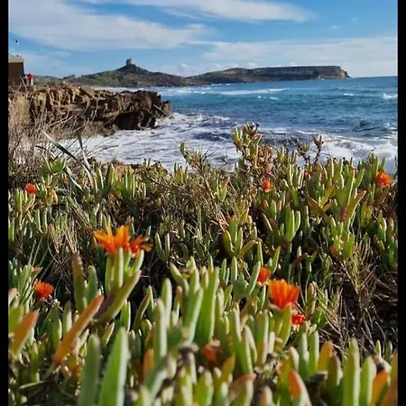 La Terrazza Sul Mare Lägenhet *